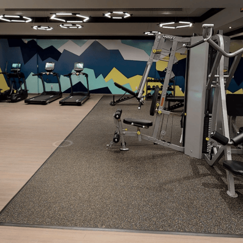 Condo Gym #9