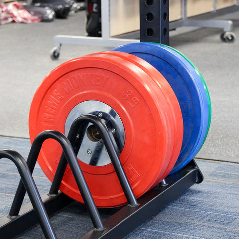 XM Bumper Plate Storage Unit