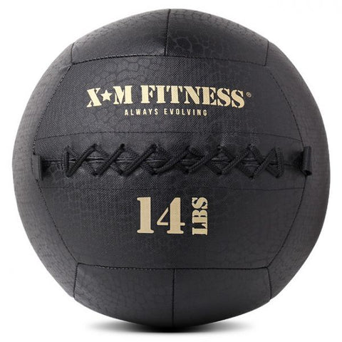 XM Wall Ball (8lbs to 30lbs)