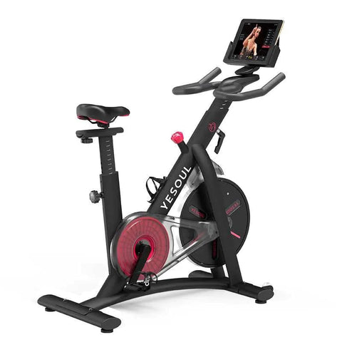 Yesoul S3 Quiet Exercise Bike with Bluetooth