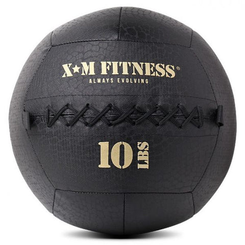 XM Wall Ball (8lbs to 30lbs)